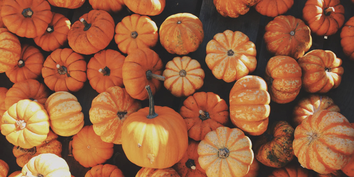 Fall pumpkins