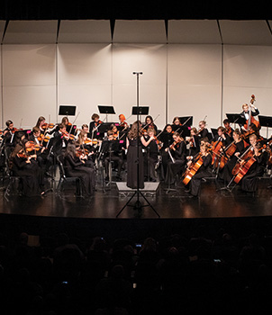 Mountain View High School Orchestra